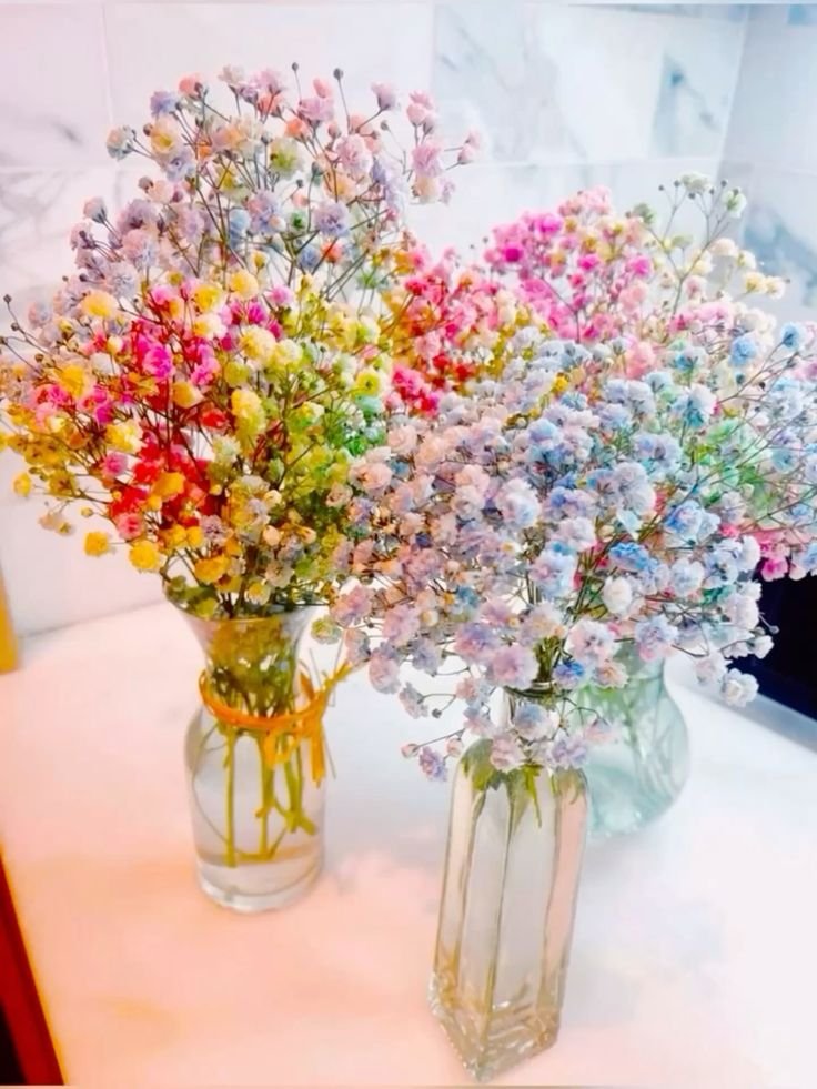 Floristería en Tarragona